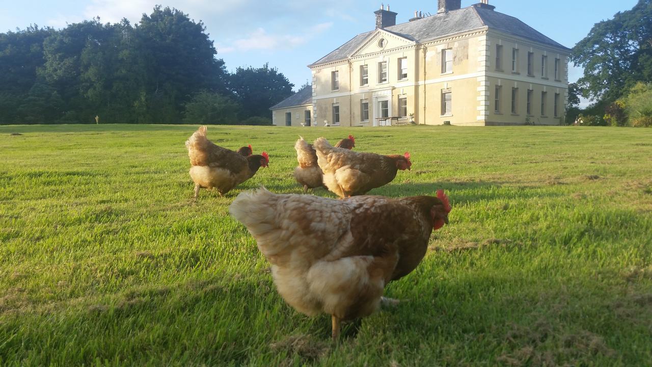 Kelly House Country B&B Lifton Екстер'єр фото
